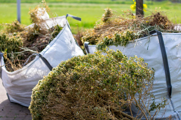 Trash Removal Near Me in Lamesa, TX